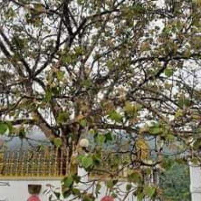 Fb Img 1666025167006